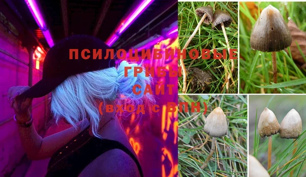 кокс Покачи