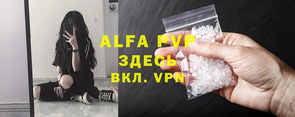 прущие грибы Покровск
