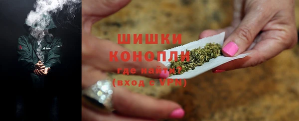 прущие грибы Покровск