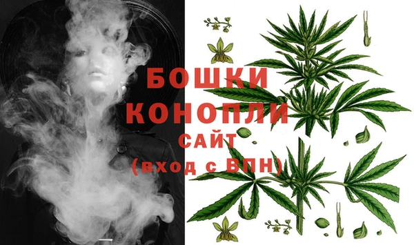 прущие грибы Покровск