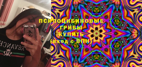 прущие грибы Покровск